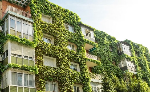 ¿Y si pagara menos impuestos por instalar un jardín en su edificio?