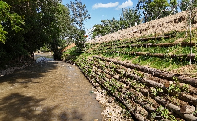Zaragoza acelera la regeneración del río Huerva con el 50% de ejecución media y las primeras plantaciones completadas