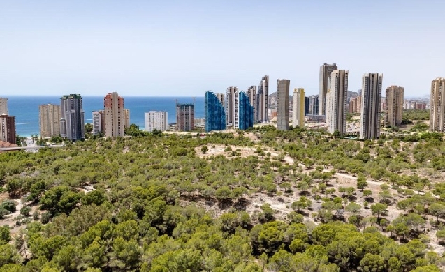 Zaragoza y Benidorm se alzan con los premios europeos de ciudades verdes para 2028
