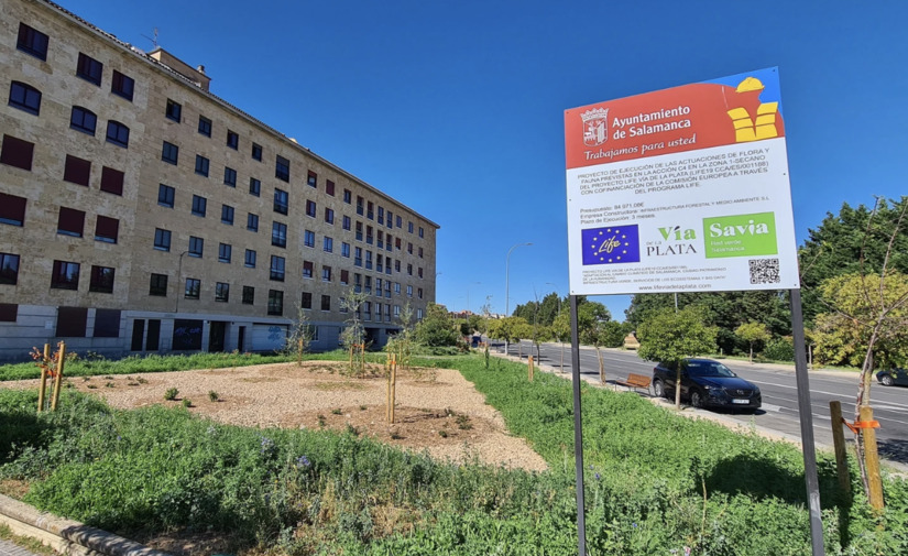 Soluciones basadas en la naturaleza para gestionar el agua de lluvia en Salamanca