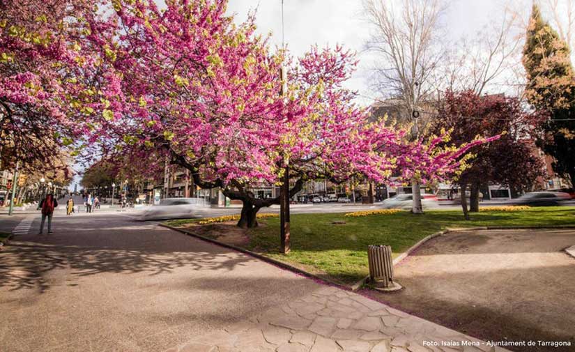 Tarragona crea un mapa de espacios verdes de la ciudad