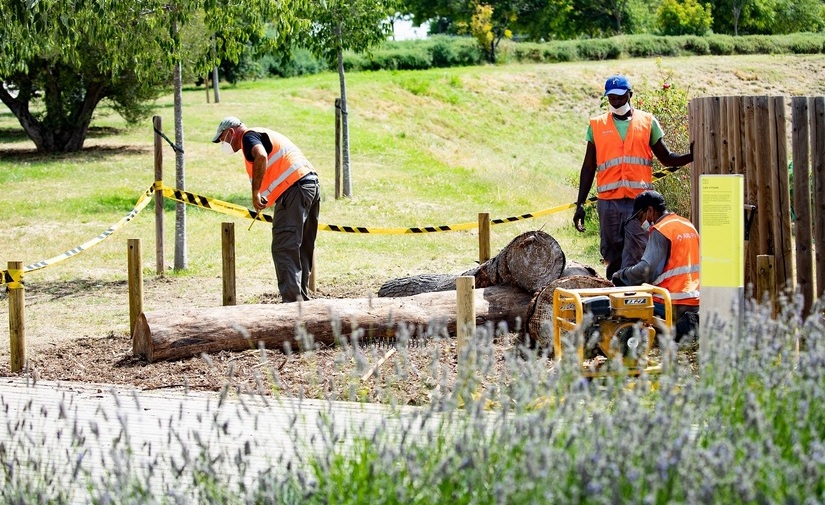 Tree Cities of the World reconoce el éxito en la gestión del Área Metropolitana de Barcelona