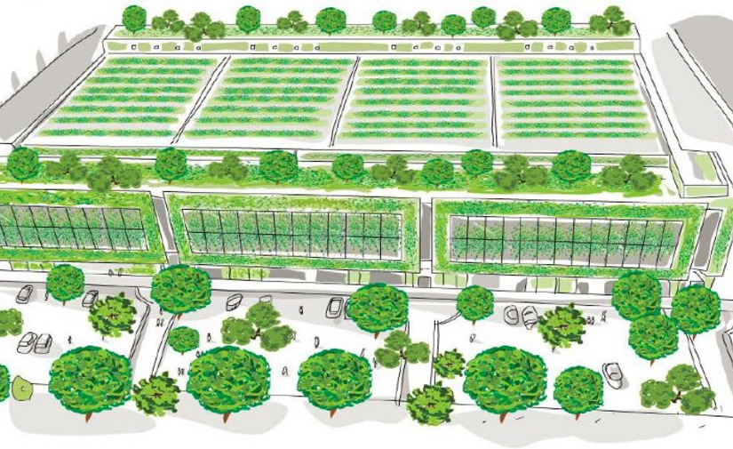 Un nuevo informe de Uforest muestra cómo incrementar el verde en las ciudades