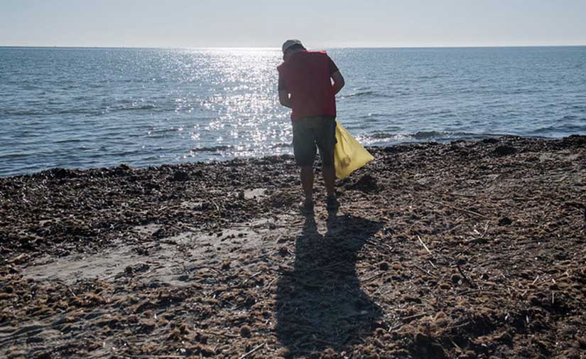 Una nueva edición del Proyecto LIBERA: ‘1m2 por las playas y los mares’