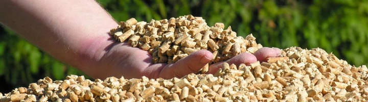 Más de cien ayuntamientos se adhieren al Plan Calderas de la Diputación de Valencia