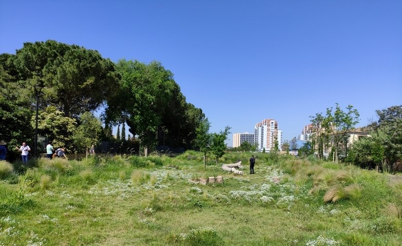 València avanza en la implantación de soluciones climáticas urbanas