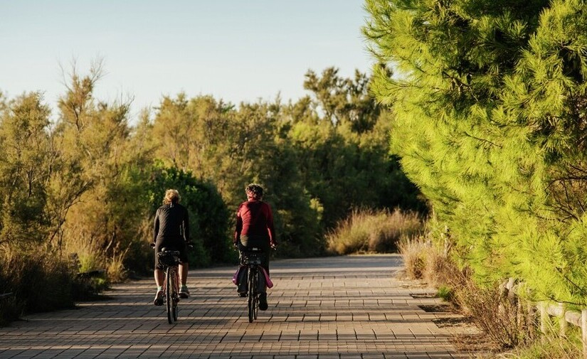 Valencia busca propuestas ciudadanas que contribuyan a construir una ciudad climáticamente neutra