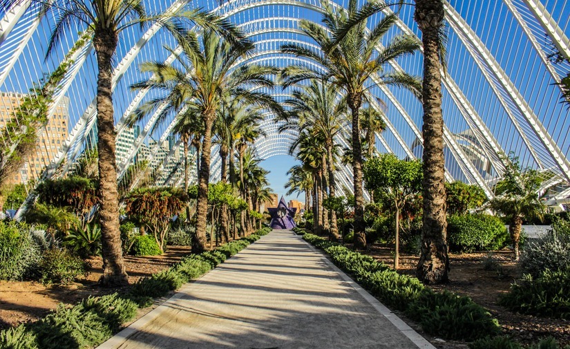 València convoca a las Asociaciones Vecinales para desgranar el nuevo contrato de jardinería