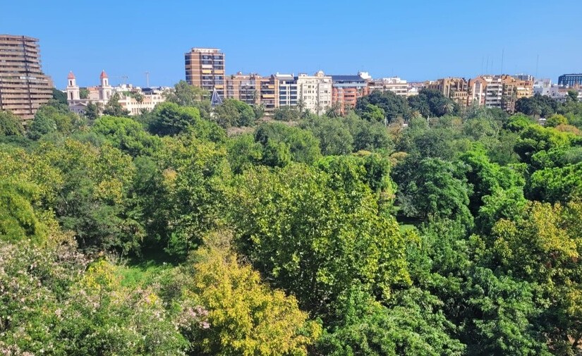 Valencia licita el control informático de la futura Zona de Bajas Emisiones