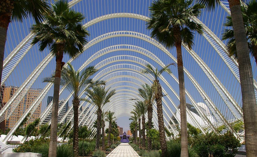 Valencia pone en marcha la elaboración del Plan Verde y de la Biodiversidad