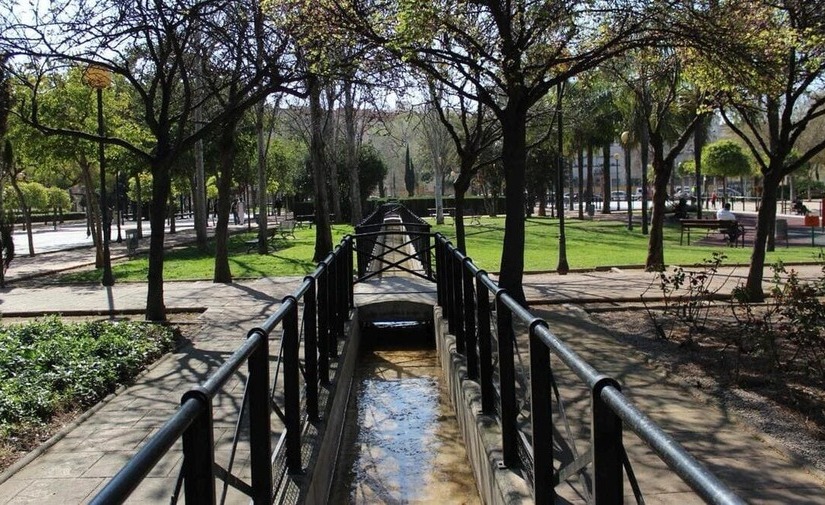 Valencia, reconocida por primera vez como Ciudad Arbórea del Mundo