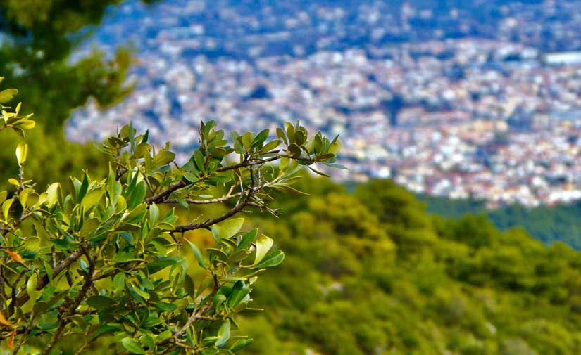 Vitoria apoya a València en su candidatura a Capital Verde Europea 2024