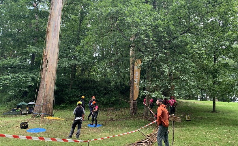 Vuelve la XX edición del Campeonato Nacional de Trepa de Árboles