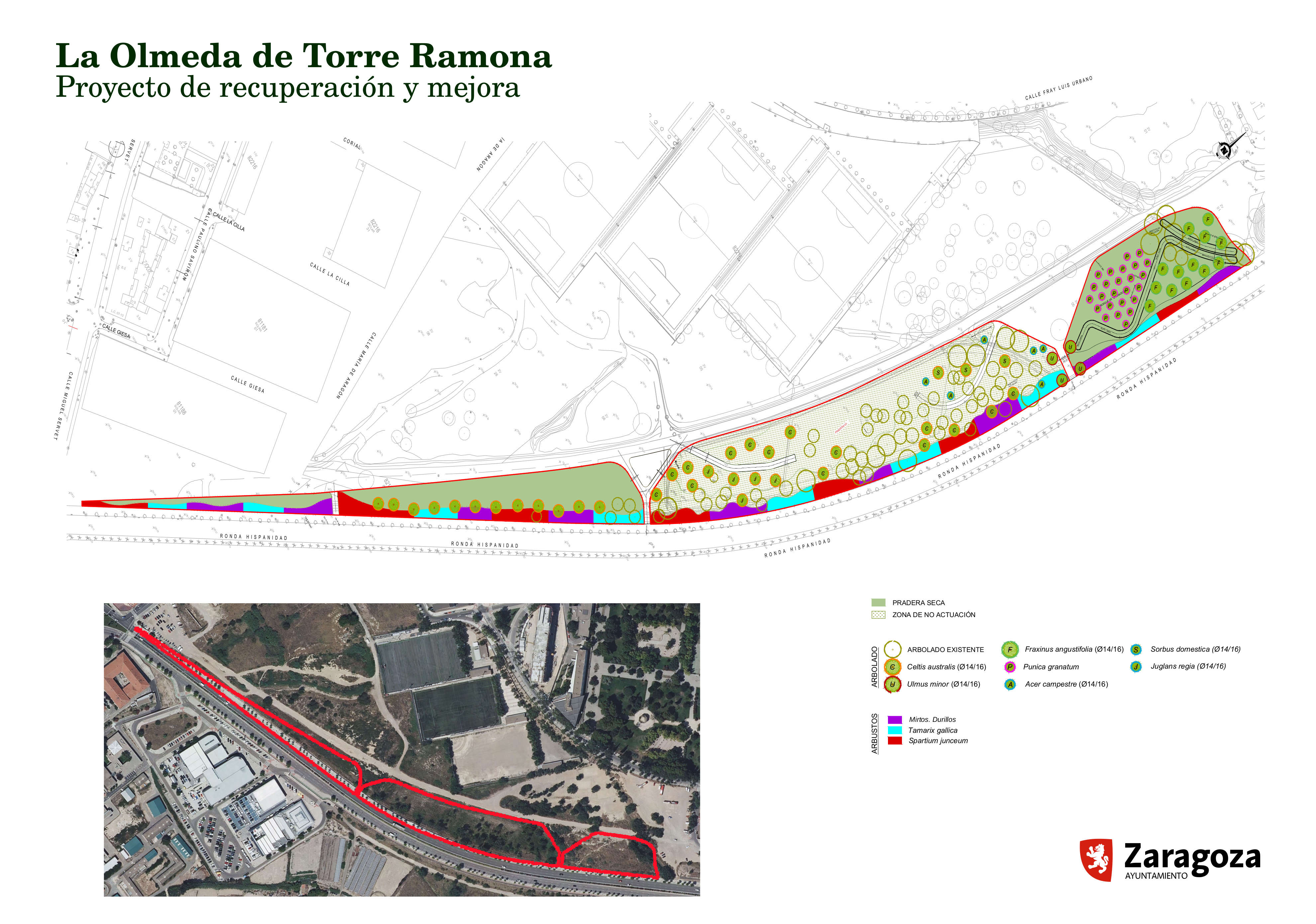 Zaragoza adjudica las obras de recuperación ambiental de la Olmeda de Torre Ramona