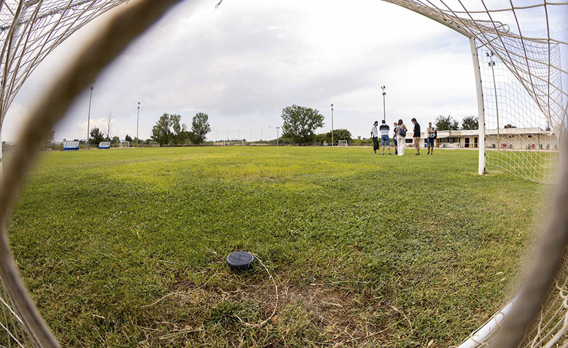 Zaragoza renueva el césped de once campos municipales de fútbol