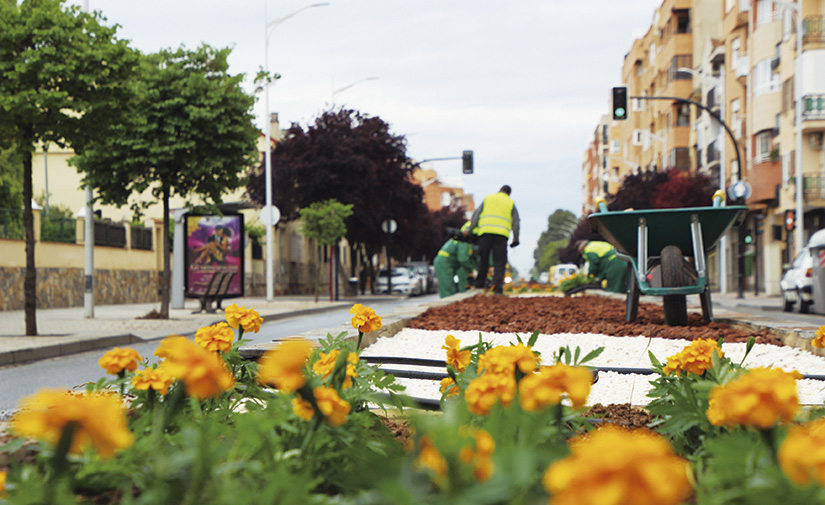 Albacete, ciudad verde