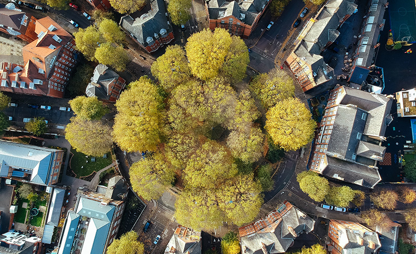 Las ciudades europeas dan cuenta de sus avances y desafíos en su transición circular