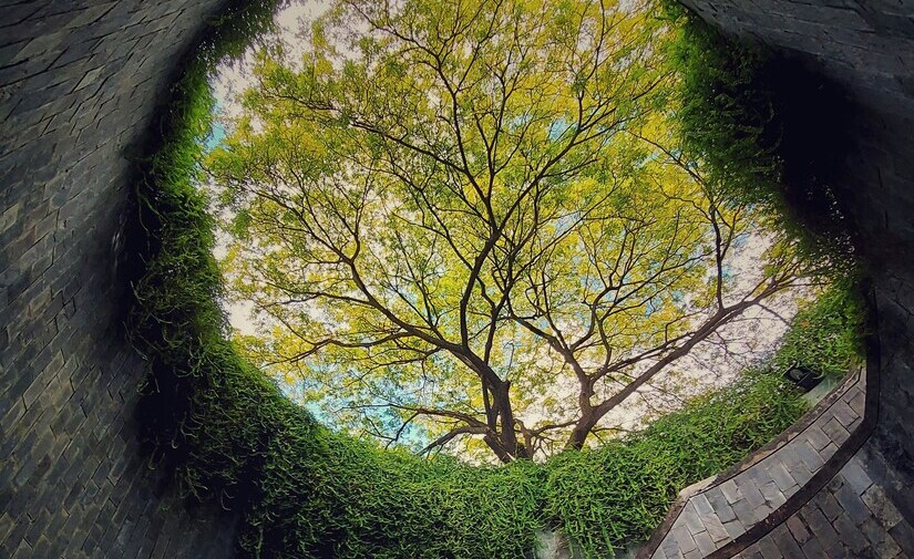 Renaturalización en España: proyectos que marcarán el futuro de nuestras ciudades