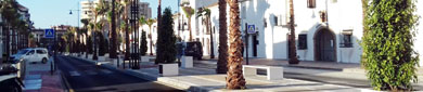 Remodelación integral de la Avenida Alcalde Clemente Díaz Ruiz de Fuengirola (Fase1)